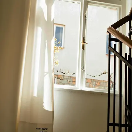 Rena Guest house *